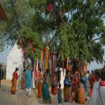 Vraj-Yatra-2014- (1753)